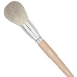 1-POWDER.jpg